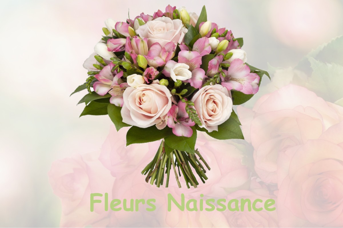 fleurs naissance SAINT-ANDIOL