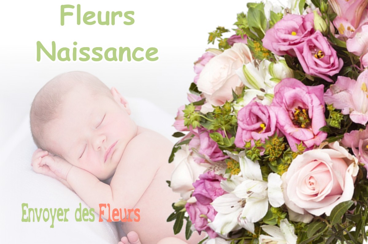 lIVRAISON FLEURS NAISSANCE à SAINT-ANDIOL